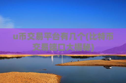 u币交易平台有几个(比特币交易端口大揭秘)