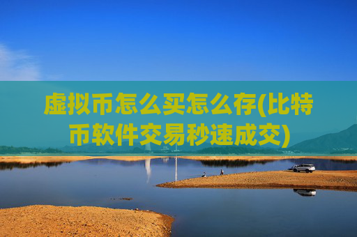虚拟币怎么买怎么存(比特币软件交易秒速成交)