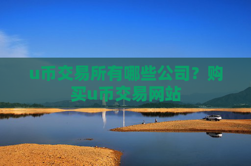 u币交易所有哪些公司？购买u币交易网站