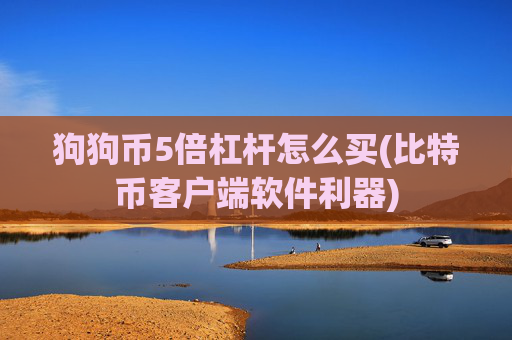 狗狗币5倍杠杆怎么买(比特币客户端软件利器)