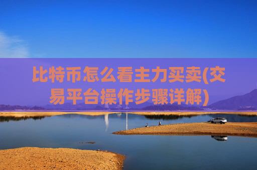 比特币怎么看主力买卖(交易平台操作步骤详解)