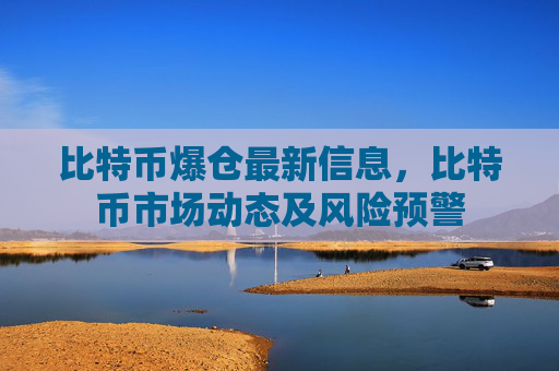 比特币爆仓最新信息，比特币市场动态及风险预警