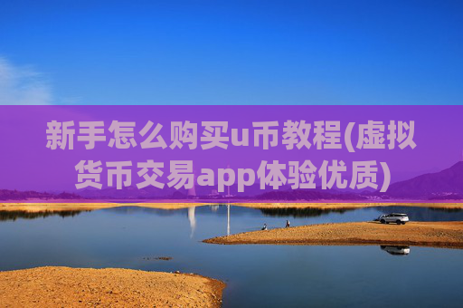 新手怎么购买u币教程(虚拟货币交易app体验优质)