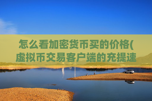 怎么看加密货币买的价格(虚拟币交易客户端的充提速度)