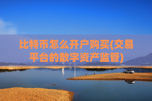 比特币怎么开户购买(交易平台的数字资产监管)