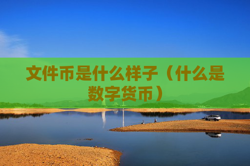 文件币是什么样子（什么是数字货币）