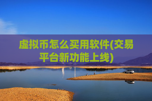 虚拟币怎么买用软件(交易平台新功能上线)