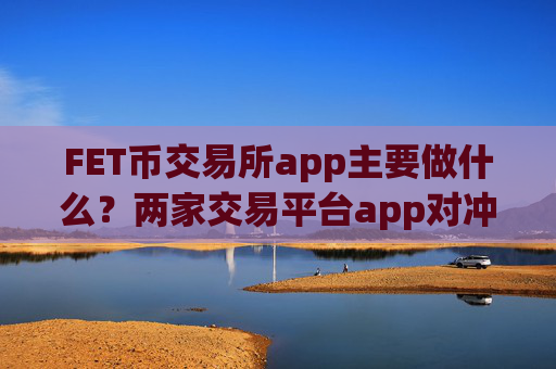FET币交易所app主要做什么？两家交易平台app对冲FET币