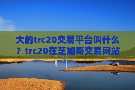 大的trc20交易平台叫什么？trc20在芝加哥交易网站