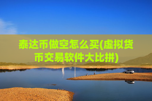 泰达币做空怎么买(虚拟货币交易软件大比拼)