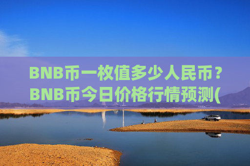 BNB币一枚值多少人民币?BNB币今日价格行情预测(现价4769.81元)