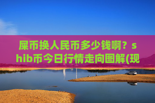 屎币换人民币多少钱啊？shib币今日行情走向图解(现价0.00023016元)