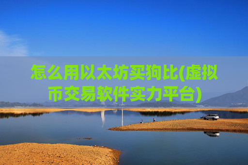 怎么用以太坊买狗比(虚拟币交易软件实力平台)