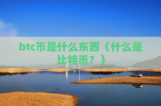 btc币是什么东西(什么是比特币?)