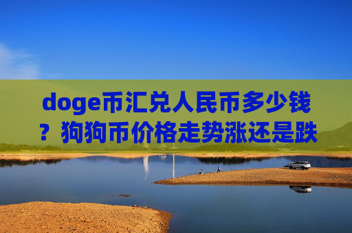 doge币汇兑人民币多少钱？狗狗币价格走势涨还是跌(现价3.2225元)