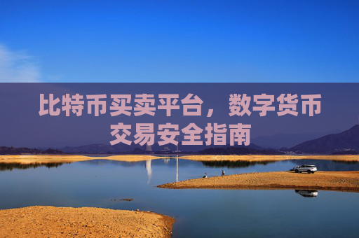 比特币买卖平台，数字货币交易安全指南