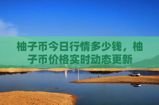 柚子币今日行情多少钱，柚子币价格实时动态更新