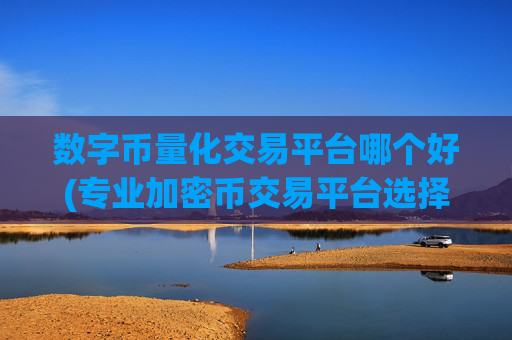 数字币量化交易平台哪个好(专业加密币交易平台选择)