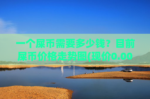 一个屎币需要多少钱？目前屎币价格走势图(现价0.00023157元)