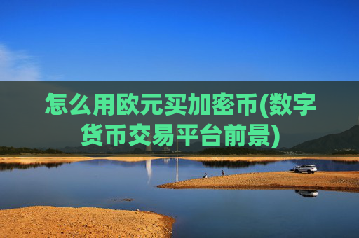 怎么用欧元买加密币(数字货币交易平台前景)