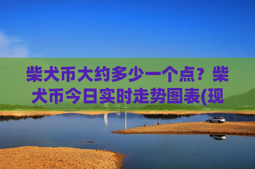 柴犬币大约多少一个点？柴犬币今日实时走势图表(现价0.00022943元)
