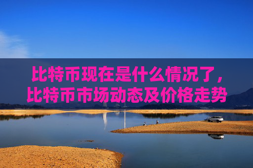 比特币现在是什么情况了，比特币市场动态及价格走势分析