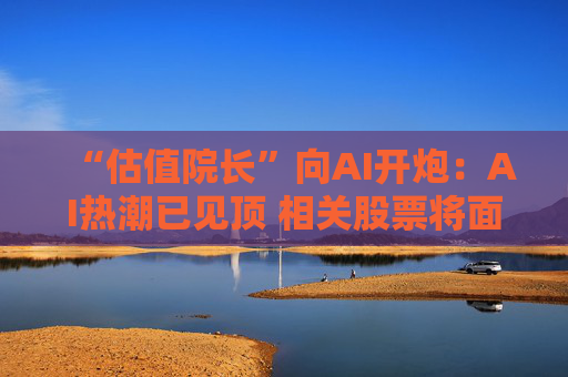 “估值院长”向AI开炮：AI热潮已见顶 相关股票将面临更多回调！