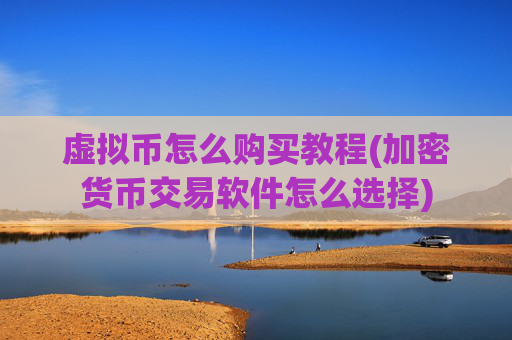 虚拟币怎么购买教程(加密货币交易软件怎么选择)