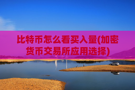 比特币怎么看买入量(加密货币交易所应用选择)