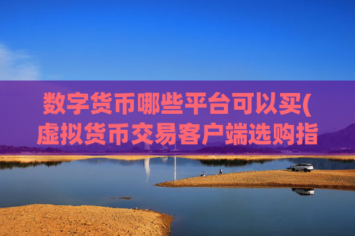 数字货币哪些平台可以买(虚拟货币交易客户端选购指南)