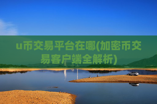 u币交易平台在哪(加密币交易客户端全解析)