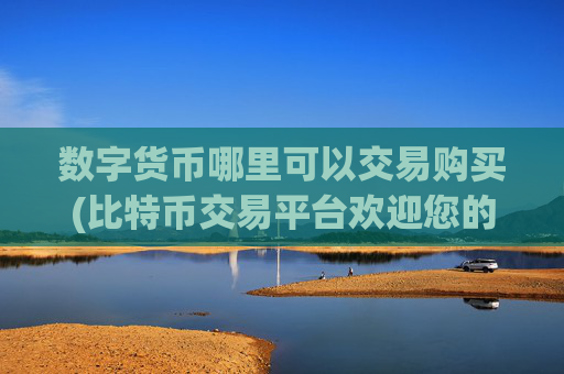 数字货币哪里可以交易购买(比特币交易平台欢迎您的光临)
