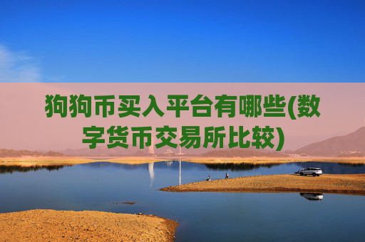 狗狗币买入平台有哪些(数字货币交易所比较)