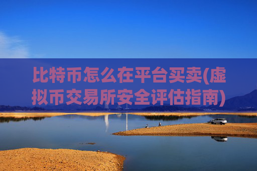 比特币怎么在平台买卖(虚拟币交易所安全评估指南)