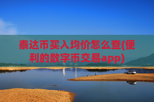 泰达币买入均价怎么查(便利的数字币交易app)