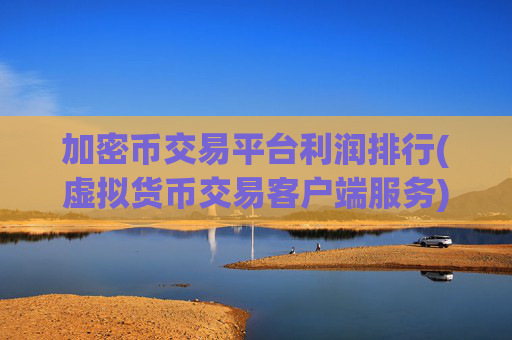 加密币交易平台利润排行(虚拟货币交易客户端服务)