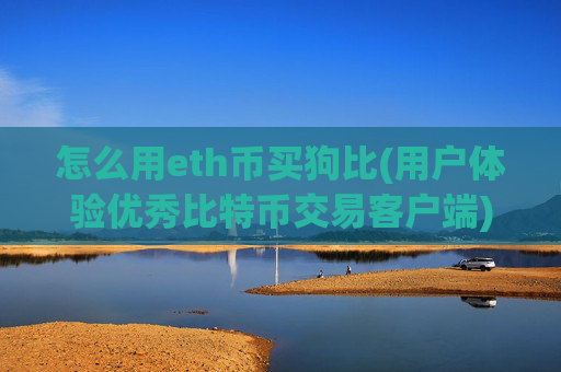 怎么用eth币买狗比(用户体验优秀比特币交易客户端)