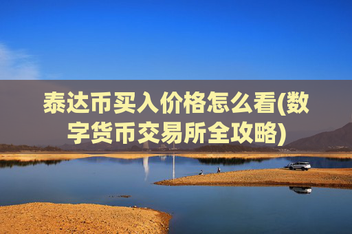 泰达币买入价格怎么看(数字货币交易所全攻略)