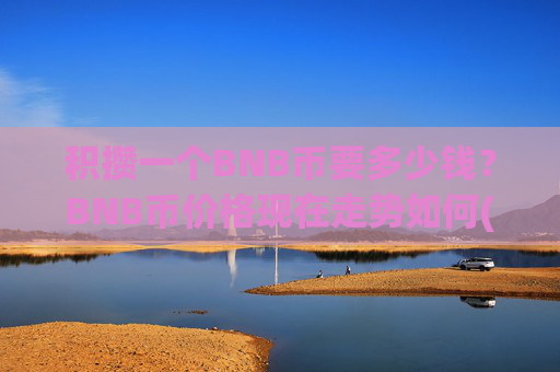 积攒一个BNB币要多少钱？BNB币价格现在走势如何(现价5332元)