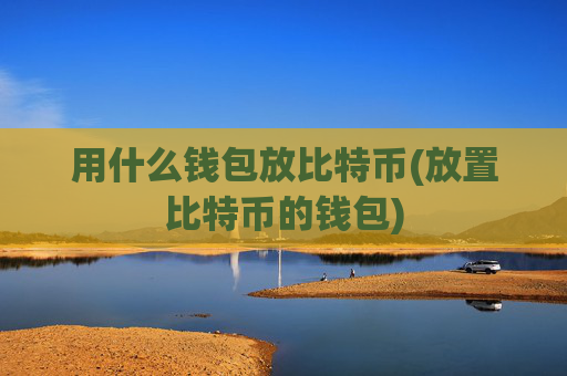 用什么钱包放比特币(放置比特币的钱包)