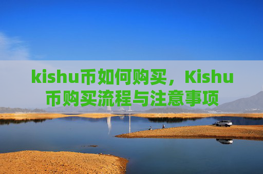 kishu币如何购买，Kishu币购买流程与注意事项