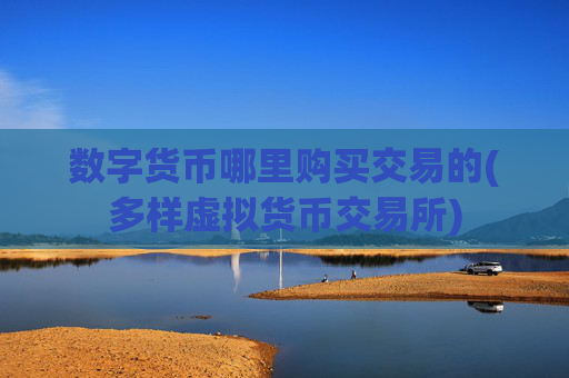 数字货币哪里购买交易的(多样虚拟货币交易所)