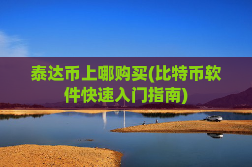 泰达币上哪购买(比特币软件快速入门指南)