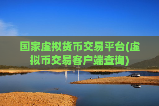 国家虚拟货币交易平台(虚拟币交易客户端查询)