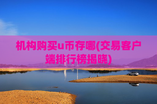 机构购买u币存哪(交易客户端排行榜揭晓)