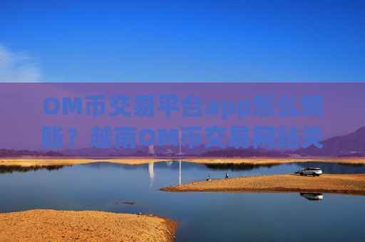OM币交易平台app怎么转账？越南OM币交易网站关闭