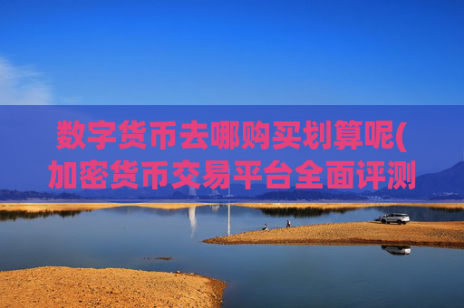 数字货币去哪购买划算呢(加密货币交易平台全面评测)