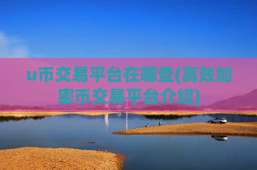 u币交易平台在哪查(高效加密币交易平台介绍)