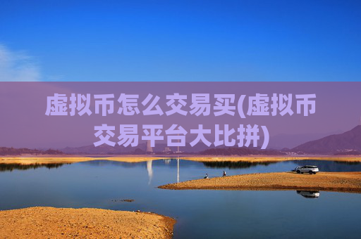 虚拟币怎么交易买(虚拟币交易平台大比拼)