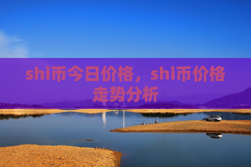 shi币今日价格，shi币价格走势分析